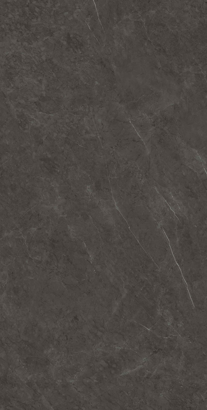 715K1289 保加利亚黑