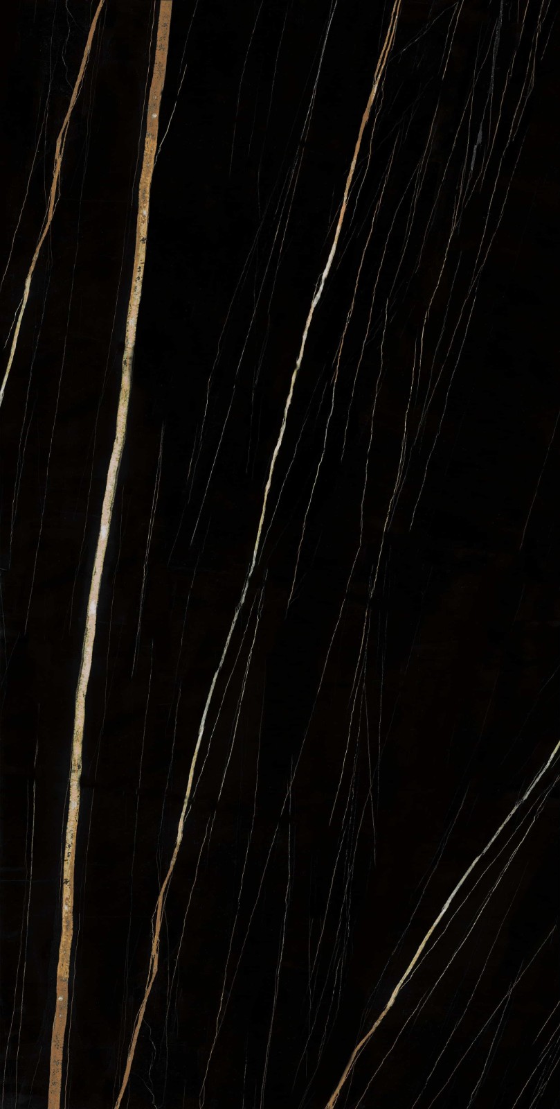 715K1398 新劳伦特金