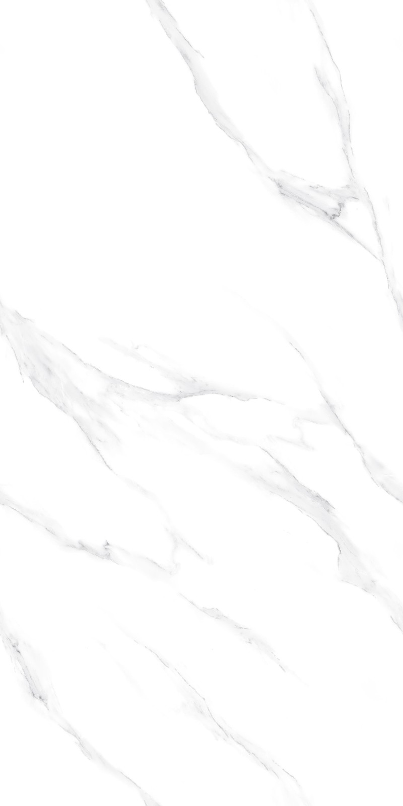 JZ715000A 俄罗斯银