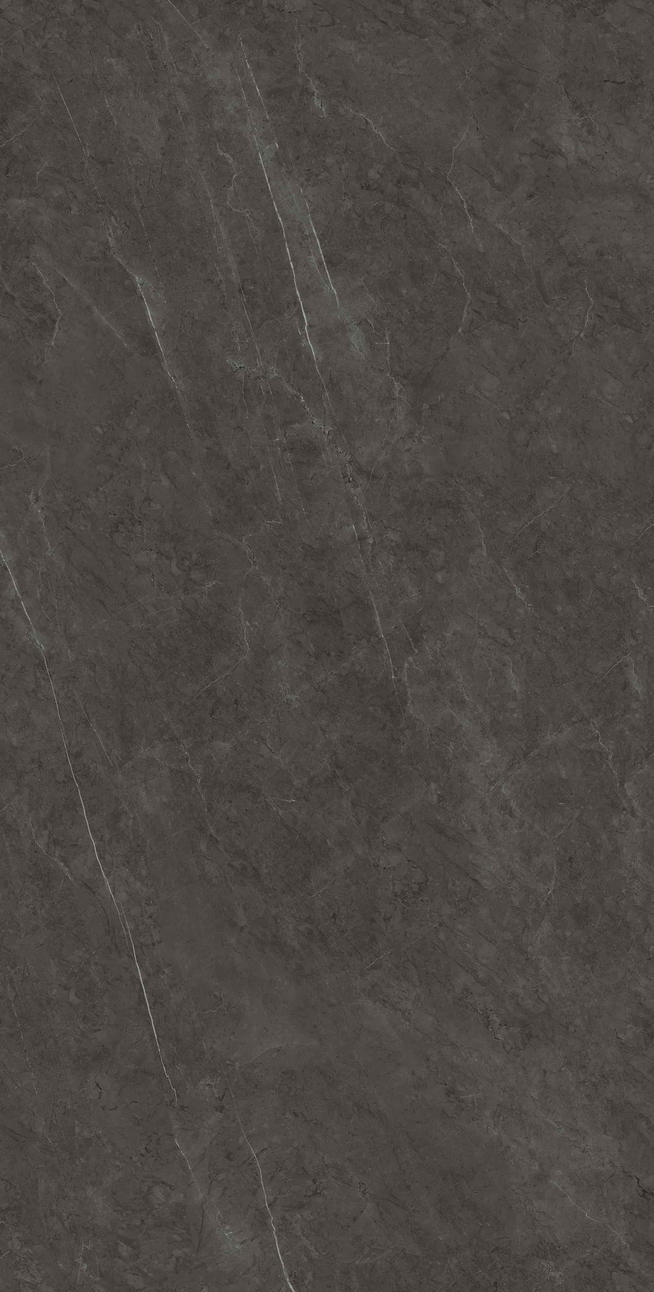 715K1289 保加利亚黑