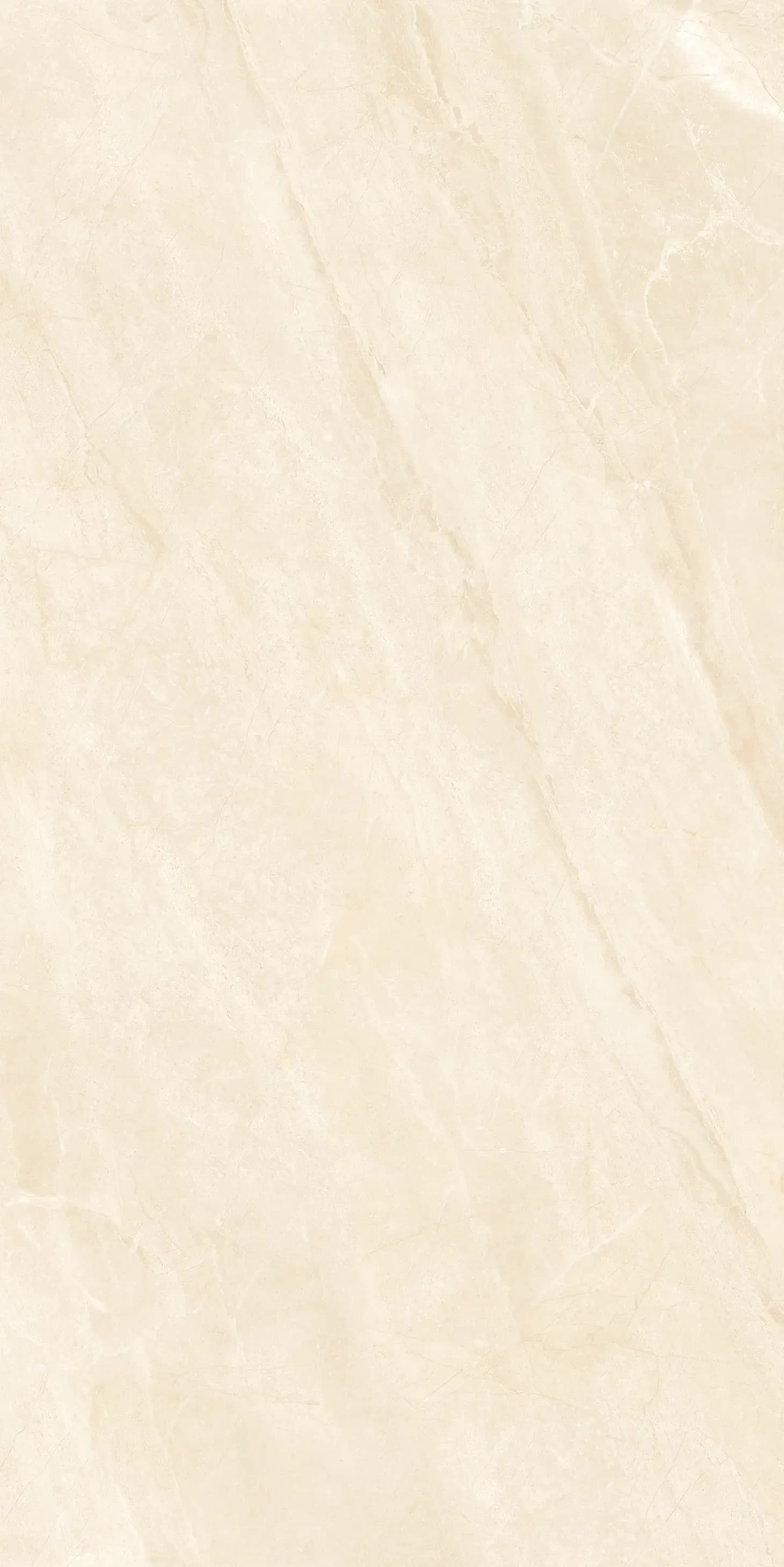 715Z1197-715ZR1198-715ZKR1199 落基米黄