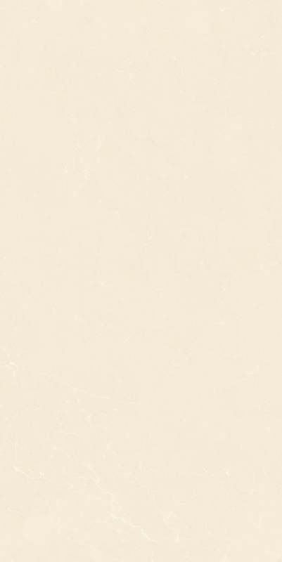 612GT117 经典莎安娜 