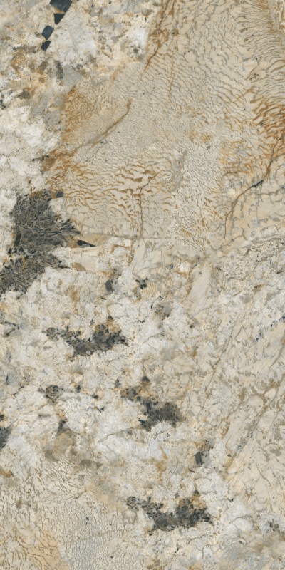 612ABK037 阿玛尼黑金