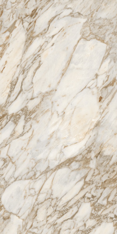 612ABK1293 宝格丽