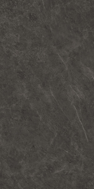 612K1289 保加利亚黑