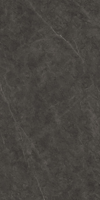 612K1289 保加利亚黑