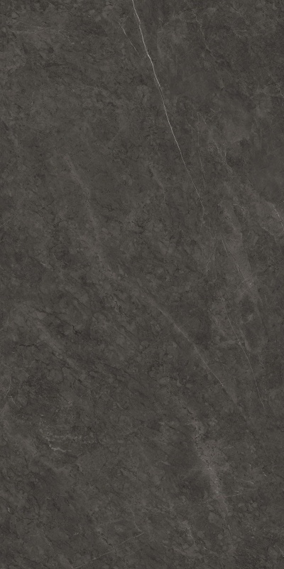 612K1289 保加利亚黑