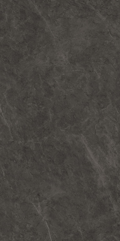 612K1289 保加利亚黑