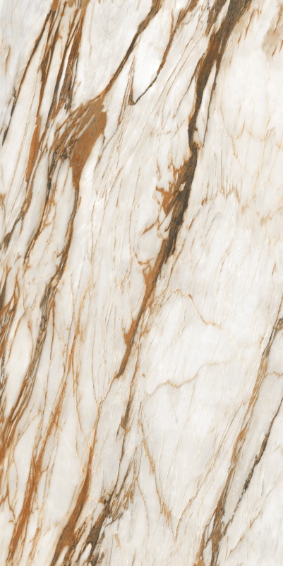 ABS6121338 普罗旺斯 