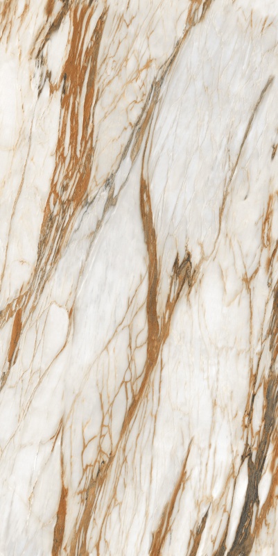 ABS6121338 普罗旺斯 