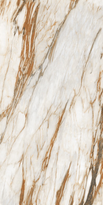 ABS6121338 普罗旺斯 