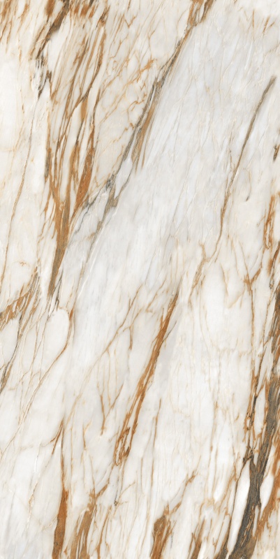 ABS6121338 普罗旺斯 