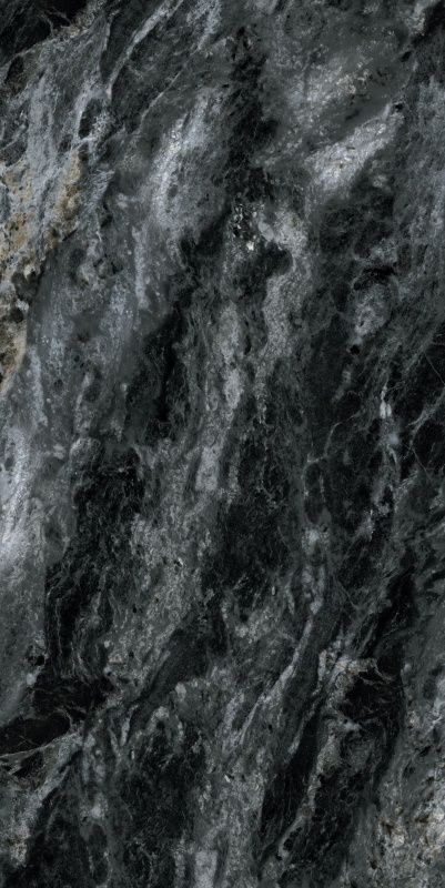 ABS6121342 阿玛尼黑金