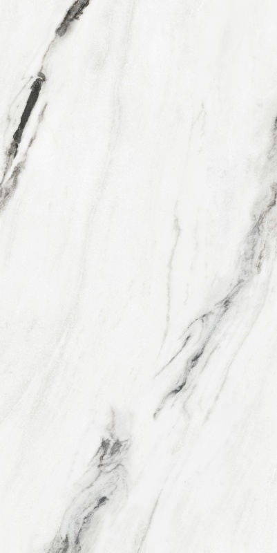 ABS6121346 纪梵希白