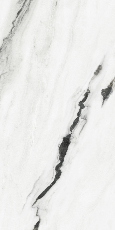 ABS6121346 纪梵希白