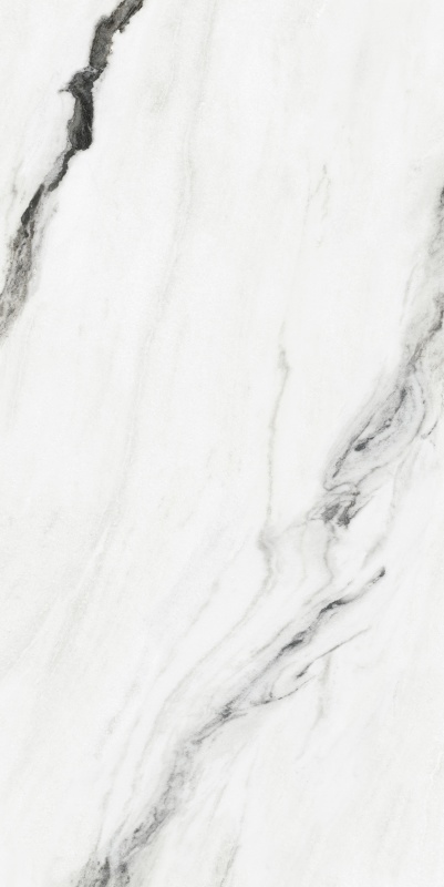 ABS6121346 纪梵希白