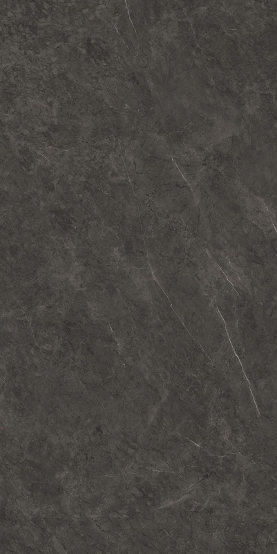 S6121356 保加利亚黑