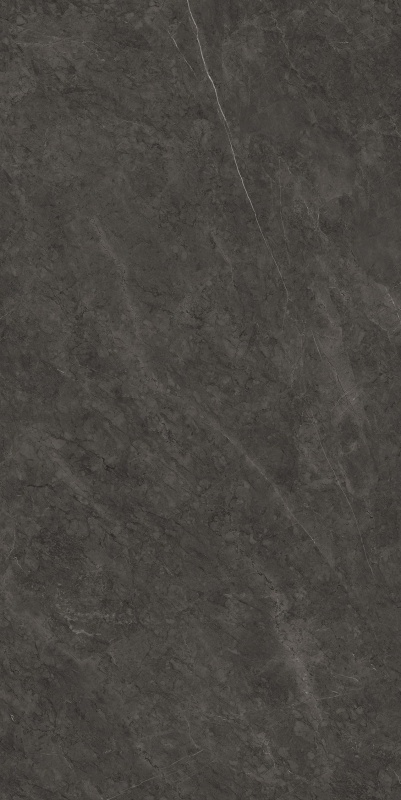 S7151356 保加利亚黑