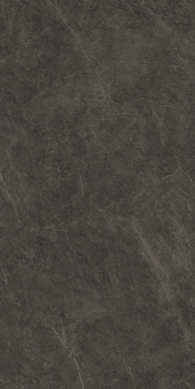 S7151356 保加利亚黑