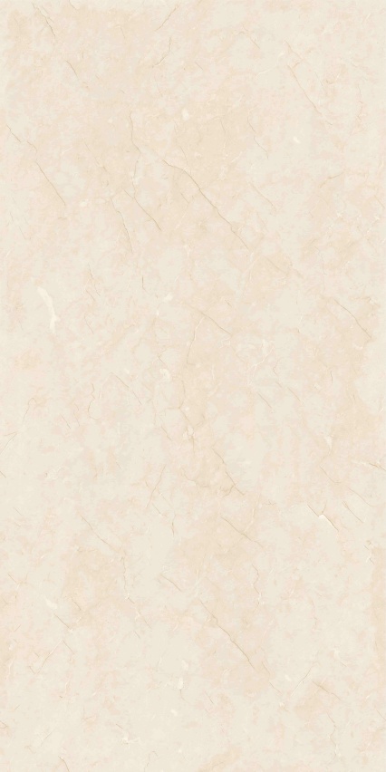 GT715105H 极品莎安娜