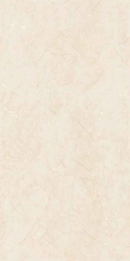 GT715105H 极品莎安娜