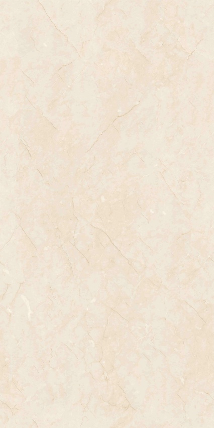 GT715105H 极品莎安娜