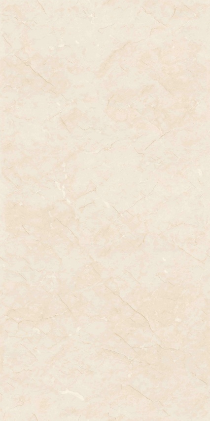 GT715105H 极品莎安娜