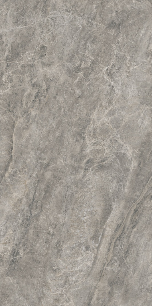 AB715613 亚历山大