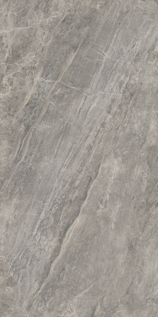 AB715613 亚历山大