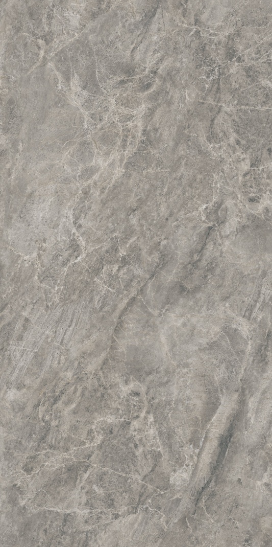 AB715613 亚历山大