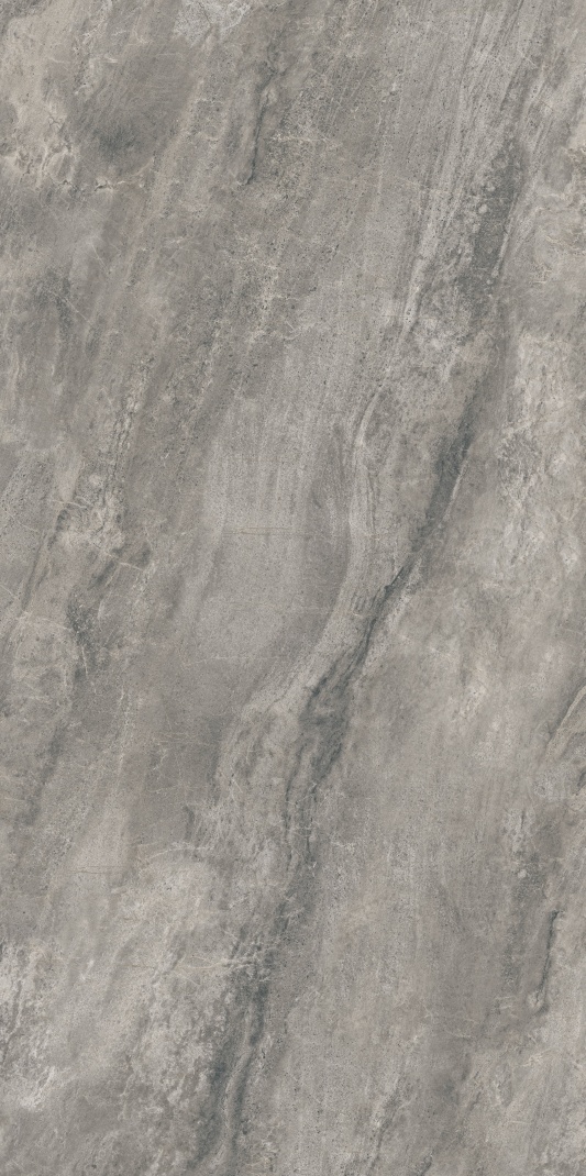 AB715613 亚历山大