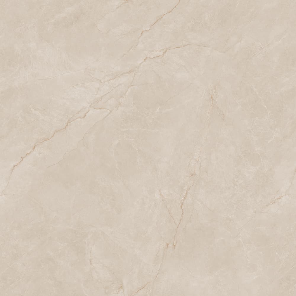 812YB1256 布里斯托