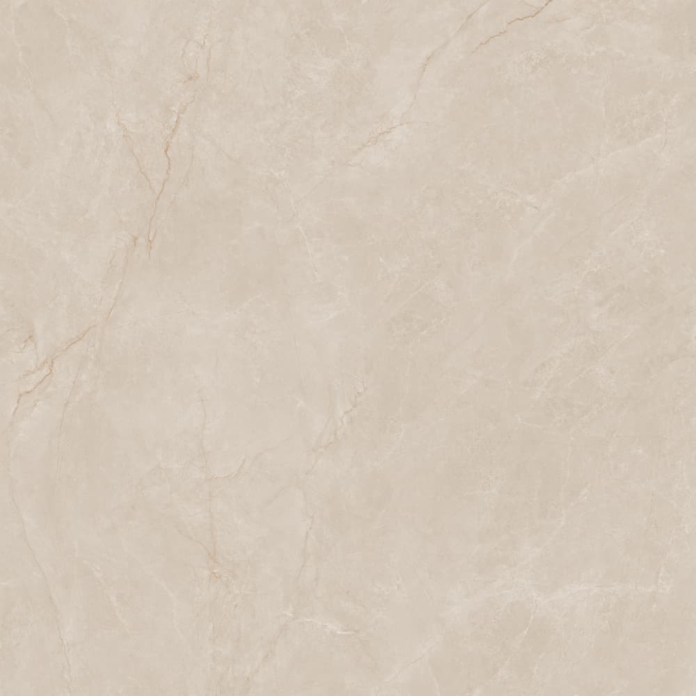 812YB1256 布里斯托