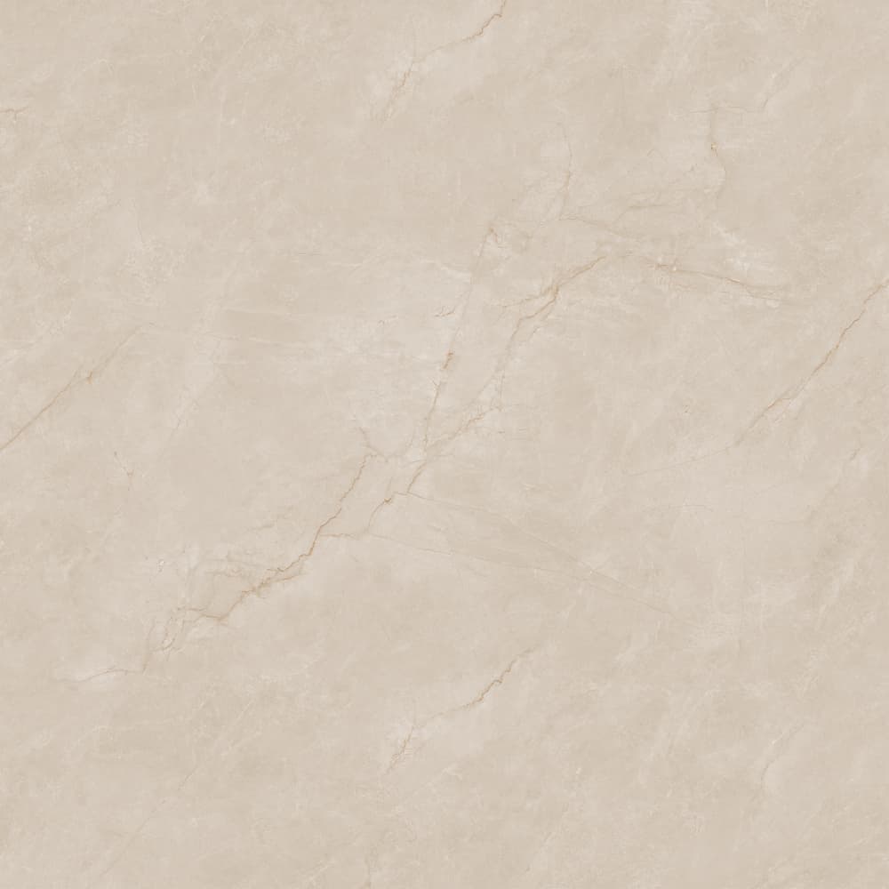 812YB1256 布里斯托