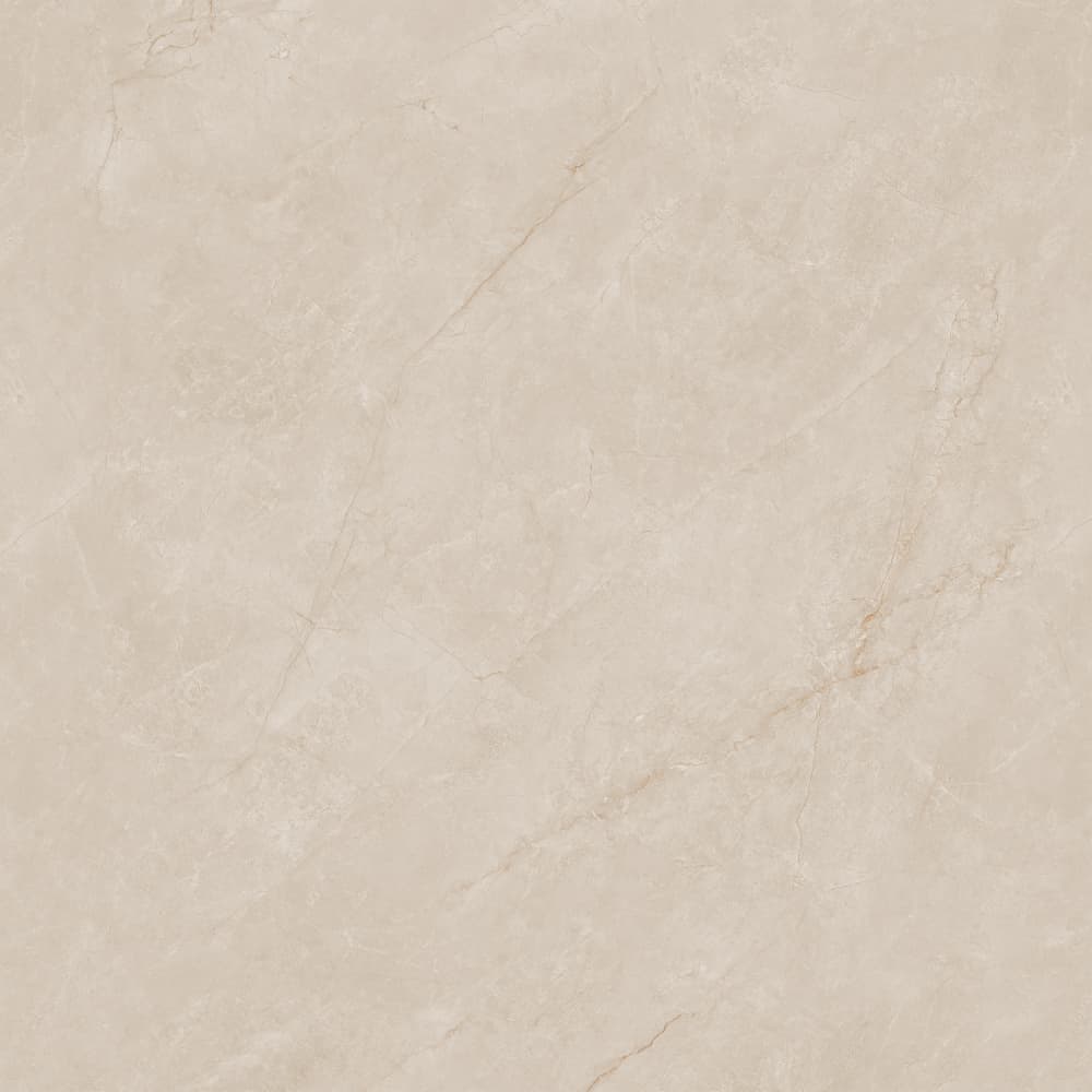 812YB1256 布里斯托