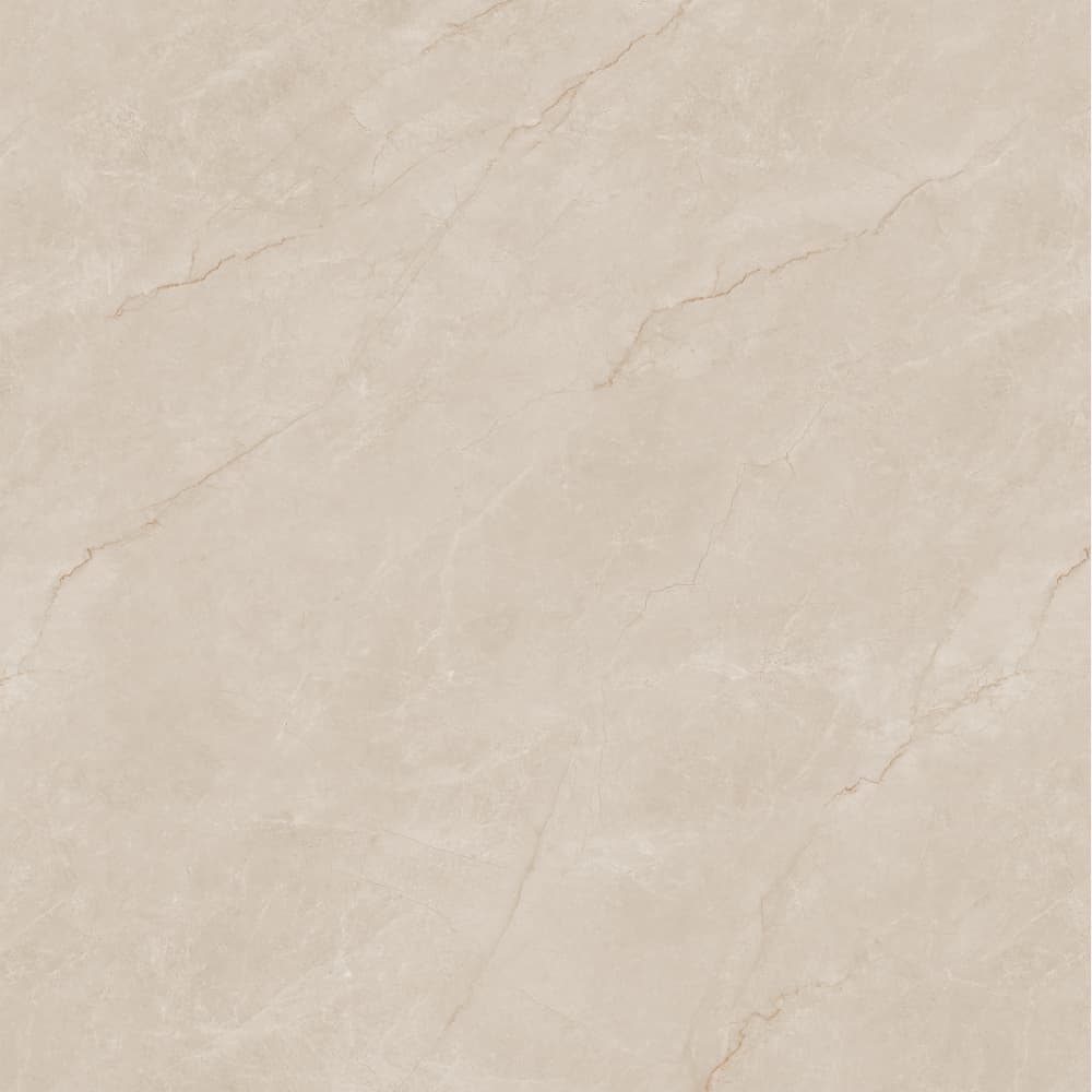 812YB1256 布里斯托