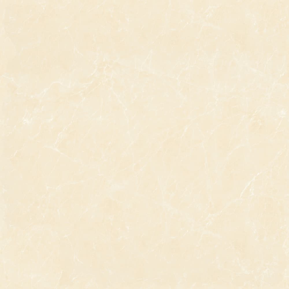 GT8871 顶级白玉兰