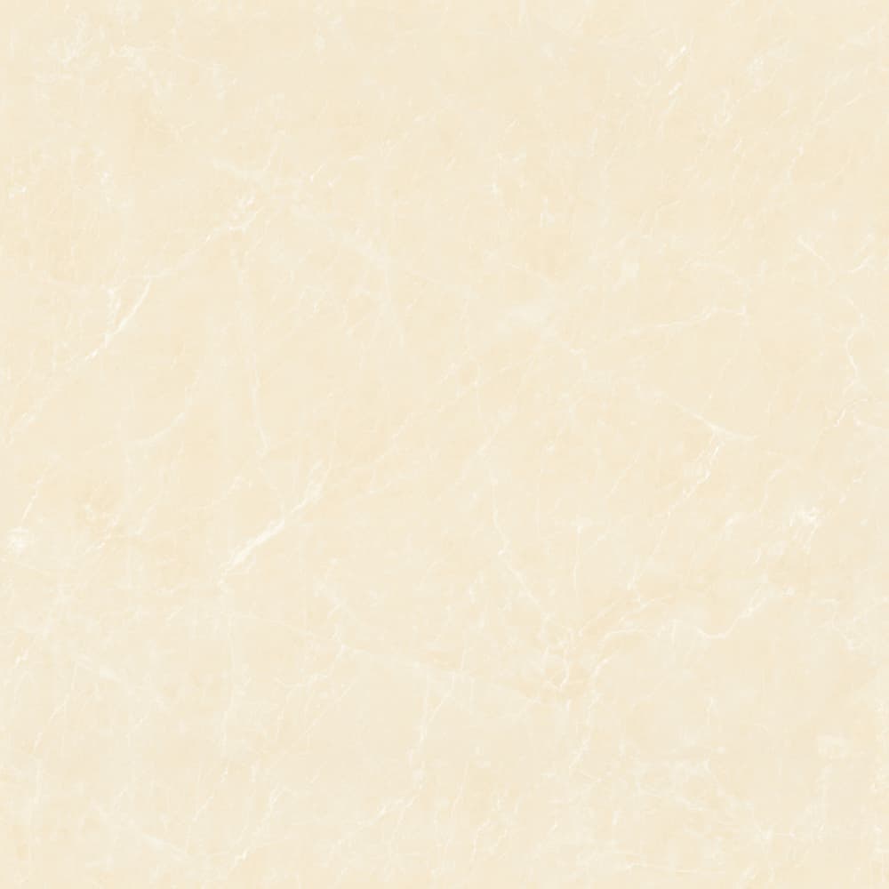 GT8871 顶级白玉兰