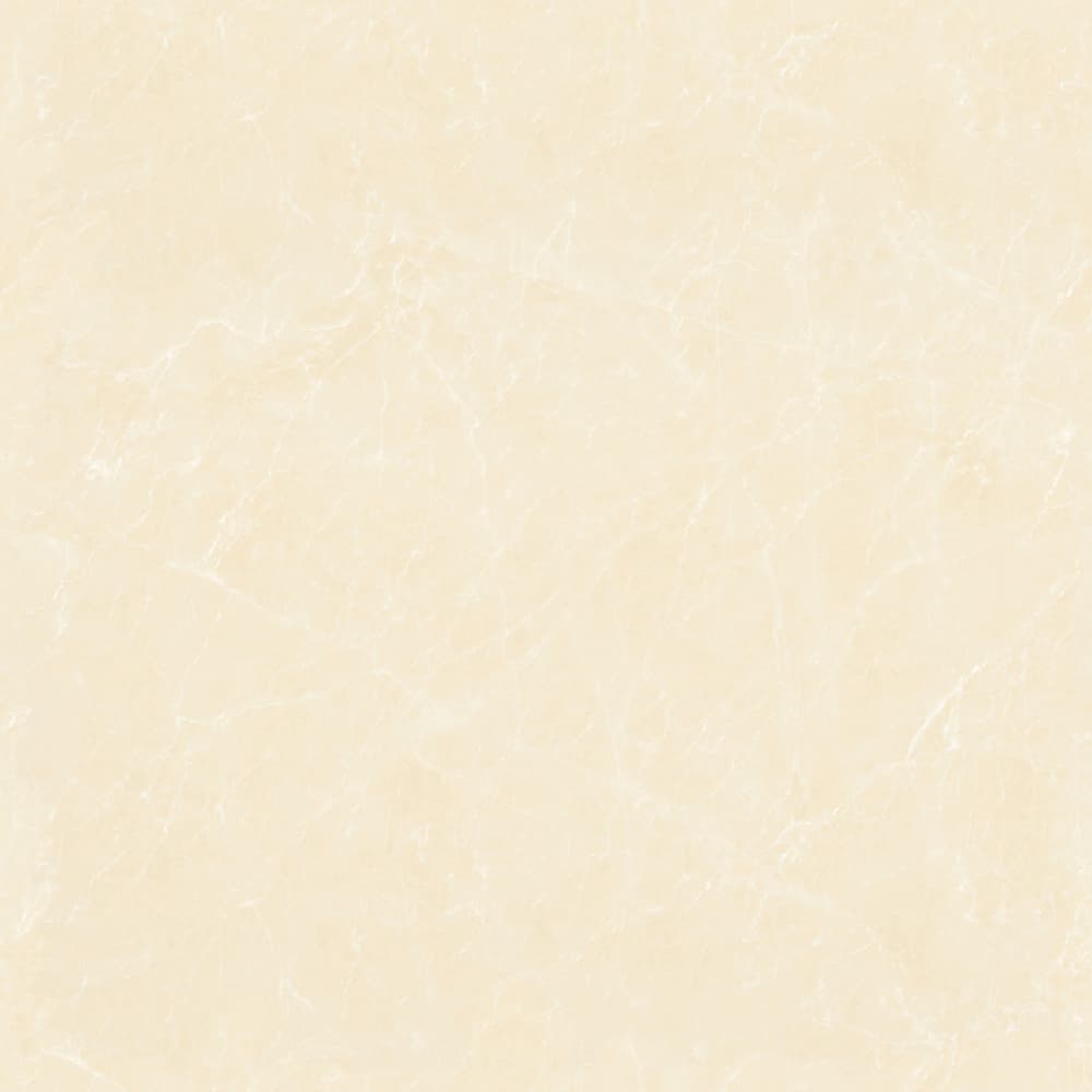 GT8871 顶级白玉兰