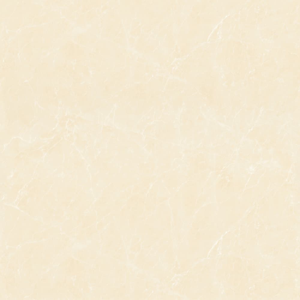 GT8871 顶级白玉兰