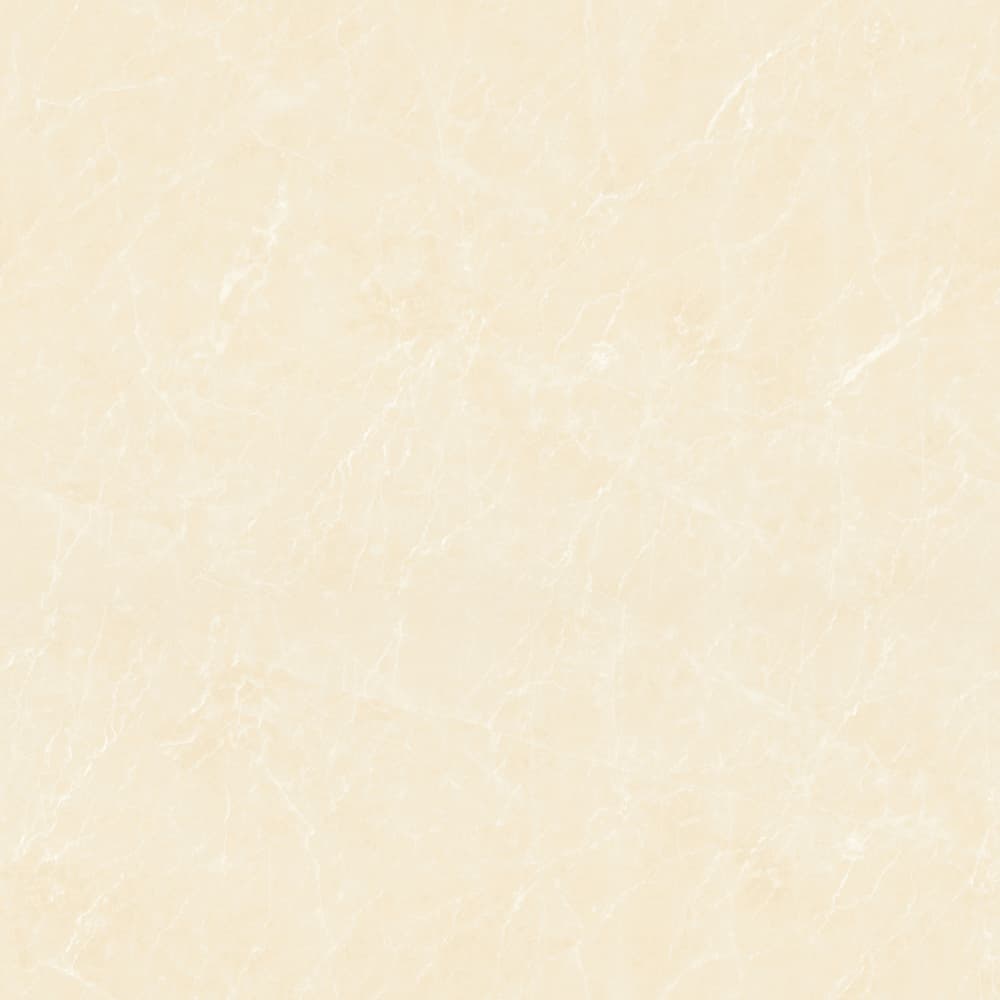 GT8871 顶级白玉兰