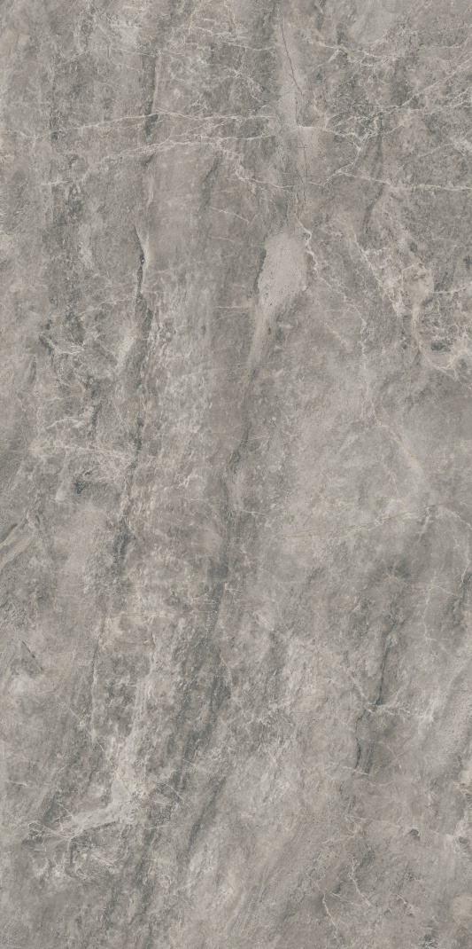 AB715613 亚历山大