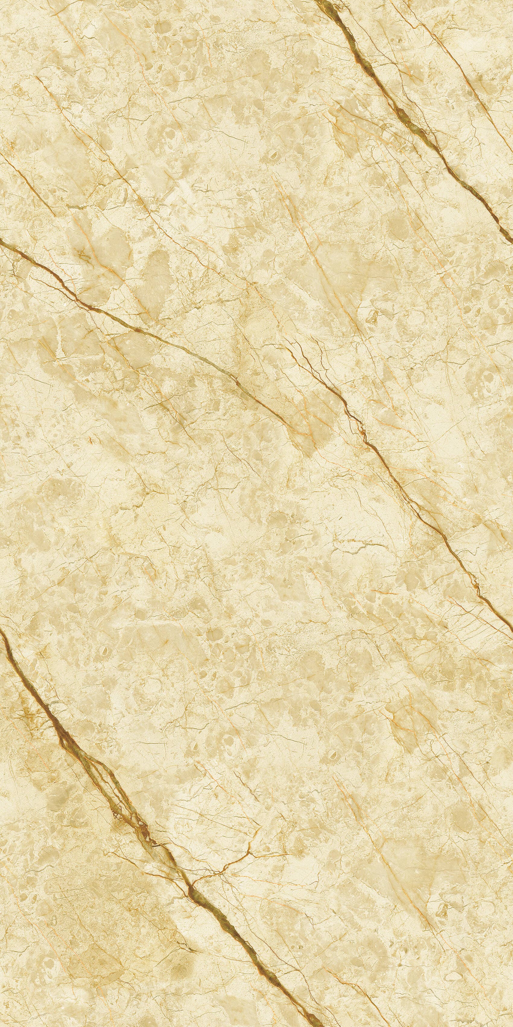 999K126005 威尼斯金