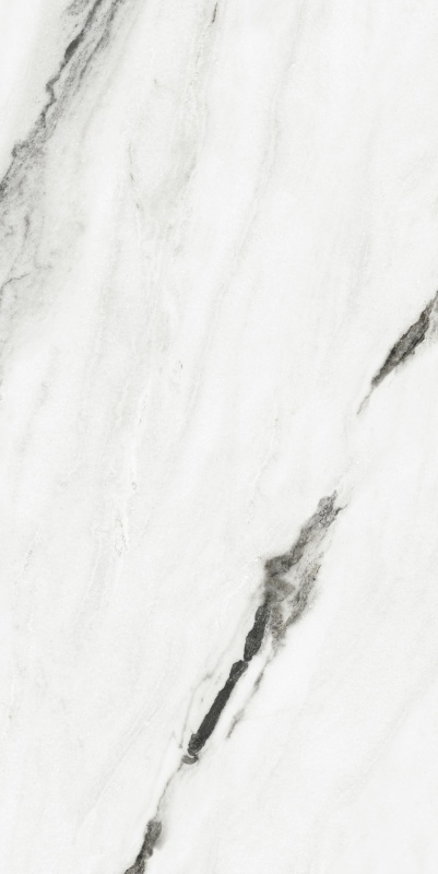 ABS6121346 纪梵希白