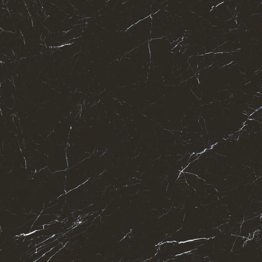 80K1383 顶级黑白根