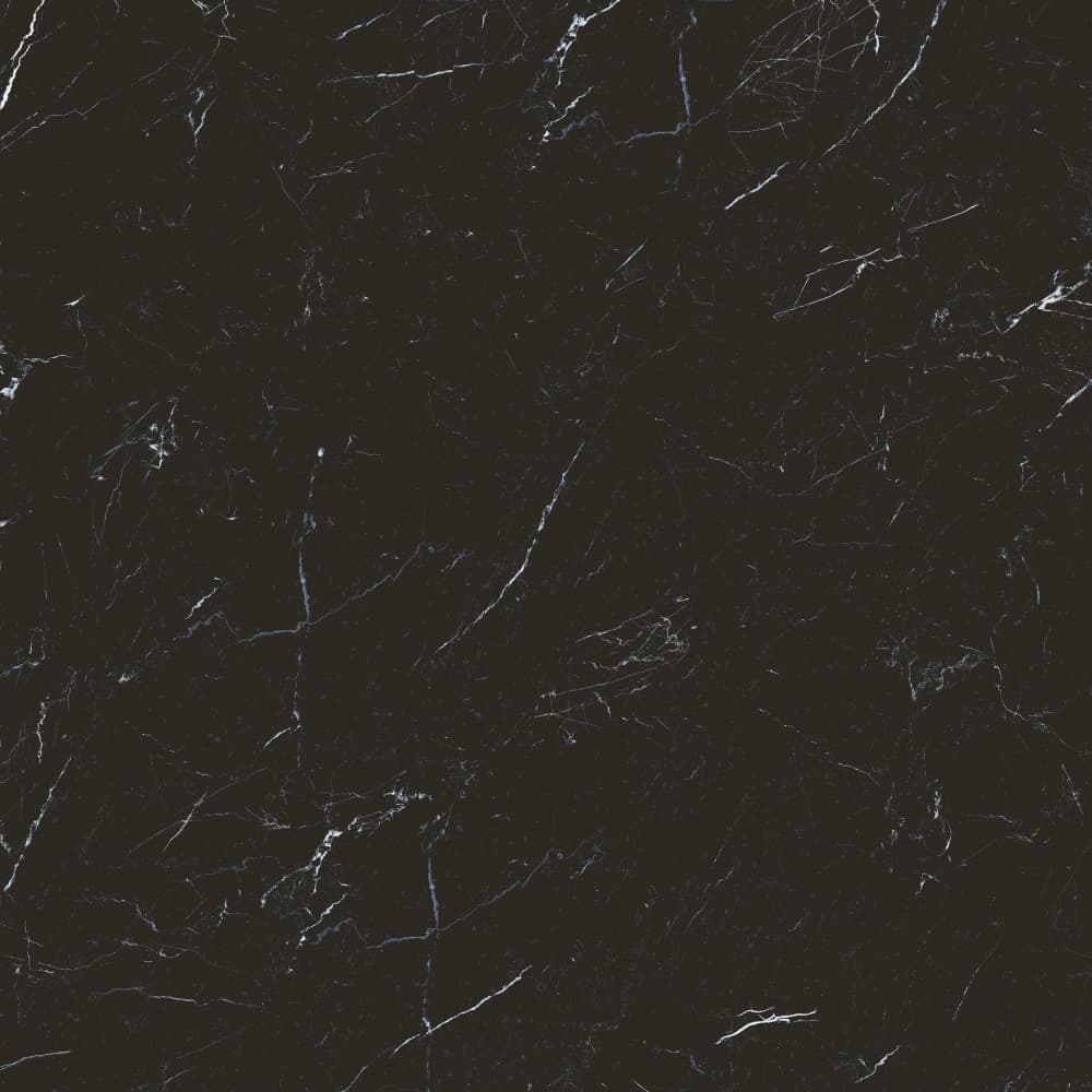 S801384 顶级黑白根