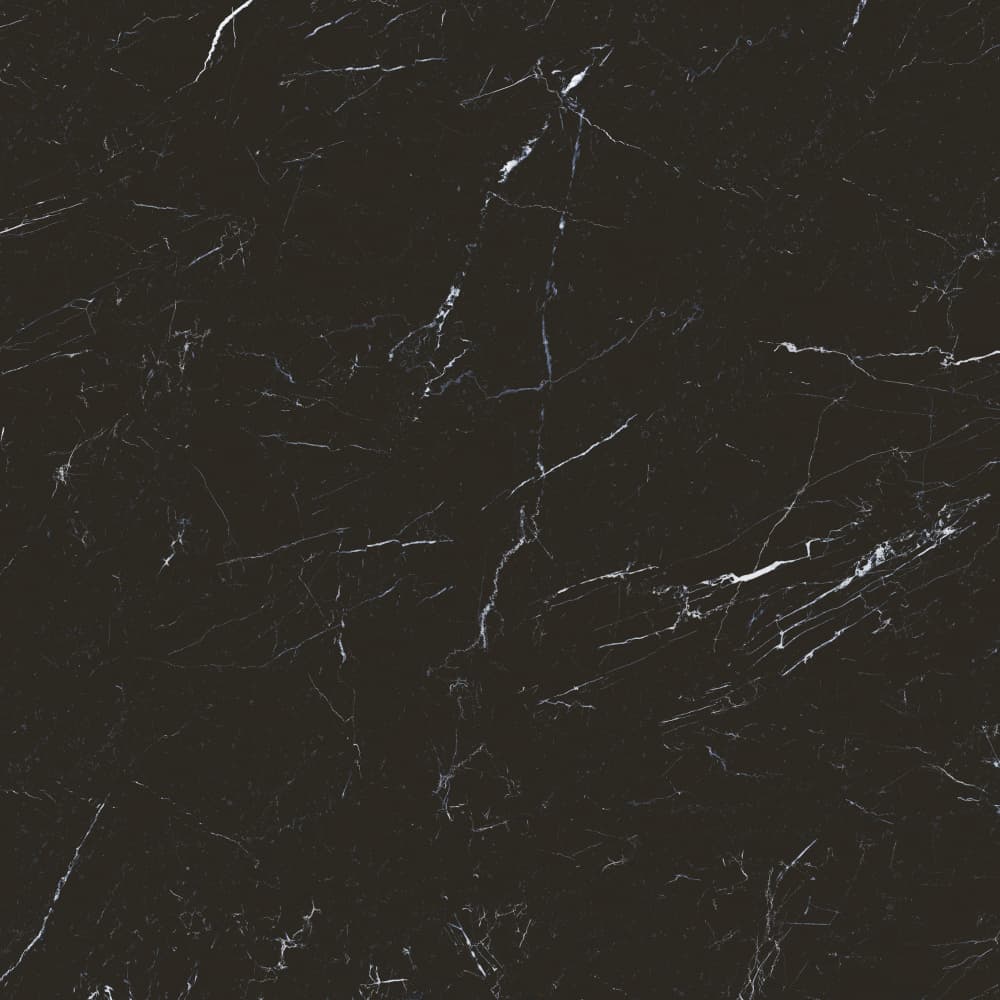 S801384 顶级黑白根