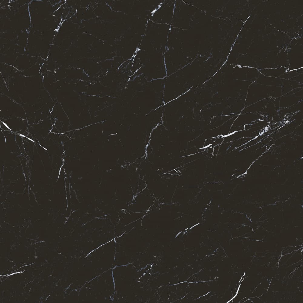 S801384 顶级黑白根