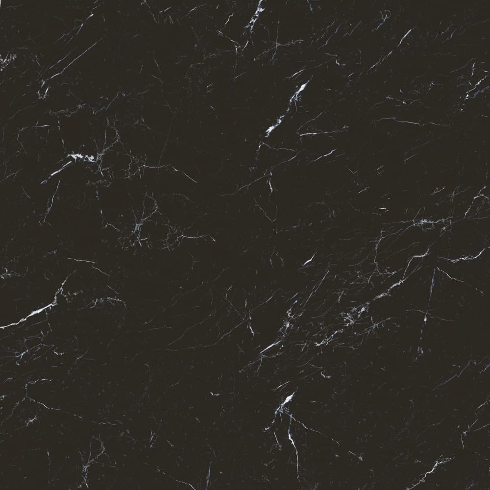 S801384 顶级黑白根