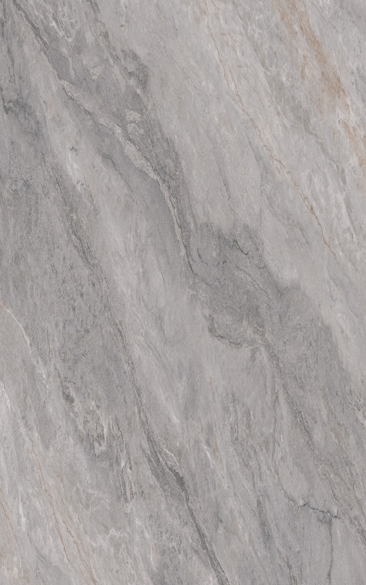 813ABGT1305 库里南